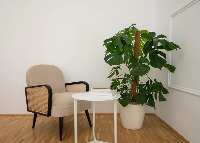 Apartment In The